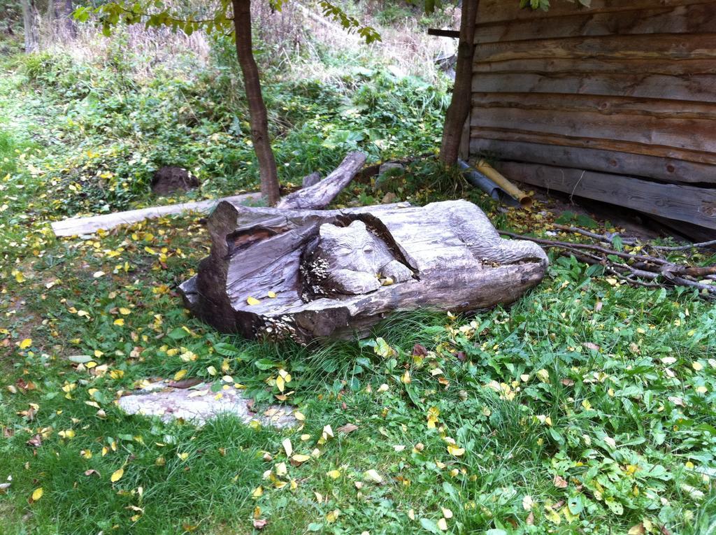 Chata Devena Valča 客房 照片
